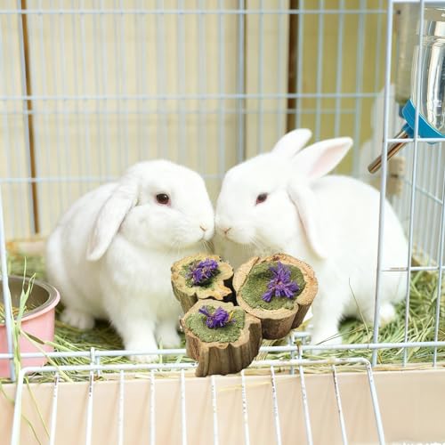 Natural Rabbit Chew Toys,Papaya Wood Sticks Organic Rabbit Treats with Timothy Hay Cakes and Dried Flower Rabbit Enrichment Toys for Guinea Pig Teeth Grinding (3.52 OZ / 100g)