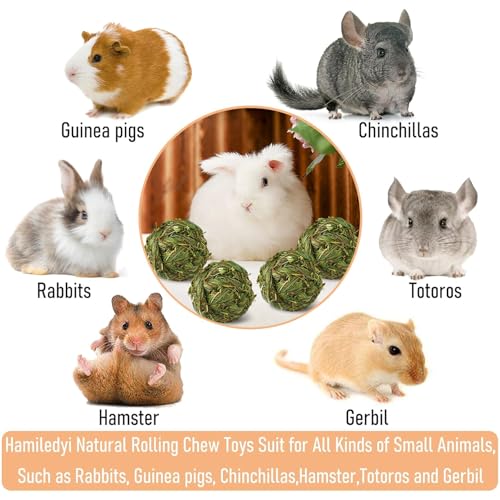 Hamiledyi 4 Pcs Rabbit Chew Ball Timothy Grass Ball Small Animal Activity Play Chew Toys Teeth Grinding for Bunny Rabbits Hamster Guinea Pigs Gerbils Chinchillas - style: Round 4 PCS