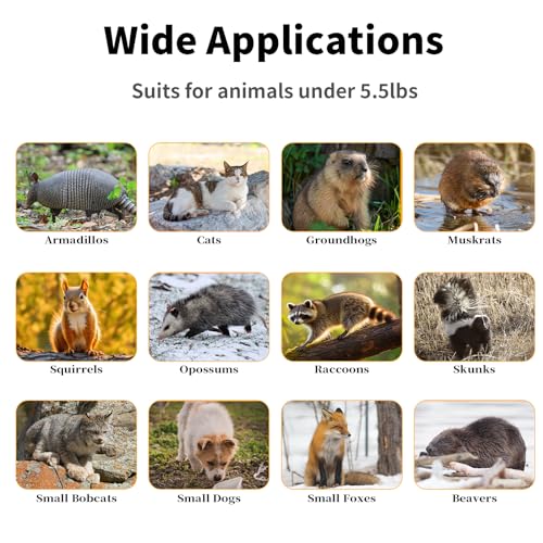 Timaze 24" Folding Live Animal Trap | Foldable humane animal trap,suitable for stray cats,squirrels and rabbits weighing up to 5.5 pounds