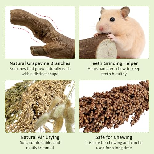 Tfwadmx 2PCS Wood Hamster Climbing Branches & Small Animal Natural Ear of Grain Spray Hamster Bedding Habitat Decor Rat Exercise Toys Treat Cereal Grain for Hamsters Gerbils
