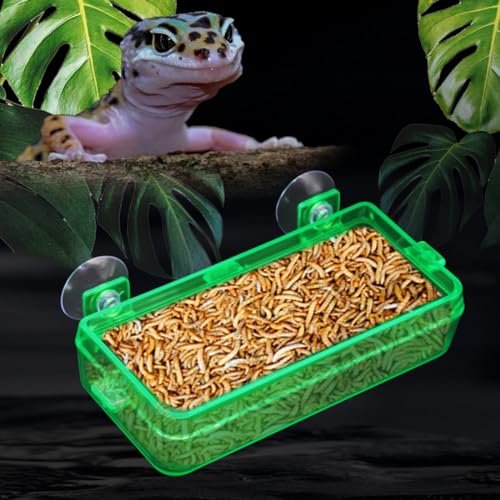 Reptile Suction Cup Feeder 2 Pack, Anti-Escape Food Bowl | for Gecko Lizard Iguana Chameleon Spider Frog Snake, Wall Mount Strong Suction Feeding Dish (Green, M) - color: Green, size: M