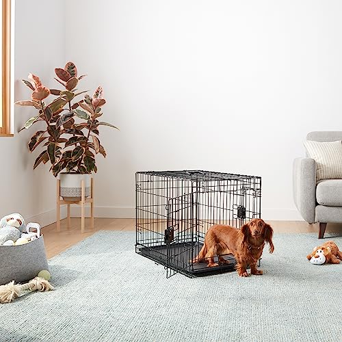 Amazon Basics Portable, Foldable Metal Wire Dog Crate with Removable Tray, Double Door, Divider Panel, Easy to Assemble, 30 x 19 x 21 in, Black - size: 30.0"L x 19.0"W x 21.0"H, style: Double Door w/ Divider