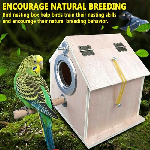 kathson Parakeet Nesting Box,Bird Nest House,Parrots Breeding Mating Hut,Cockatiel Nesting Box for Budgie,Lovebirds,Conure,Canary,Finch and Small Medium Birds,L - size: L