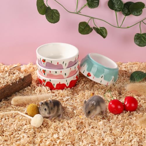 VanEnjoy 2 Pack Hamster Food Bowl Small Ceramic Water Food Bowl for Cage Small Animal Bowls for Hamster Guinea Pig Chinchilla Rabbit - Blue and Purple - color: Blue and purple