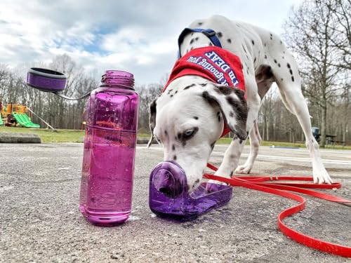 OllyDog OllyBottle | Tritan Dog Water Bottle with Detachable Bowl | BPA Free Leakproof Pet Dispenser | Hiking Travel (600ml, Plum) - color: Plum, size: 600ML