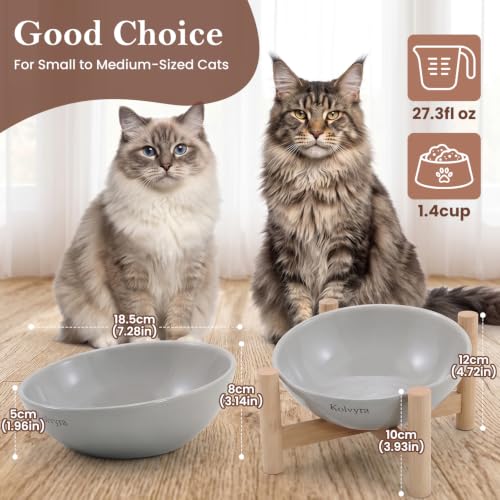 15° Slanted Rim Ceramic Cat Bowl, Anti-Spill for Small Cats | Food-safe Ceramic with Wooden Stand,Ergonomic Tilt Relieves Neck Strain,Anti-Vomiting,Prevents Whisker Fatigue,Gray - color: Gray