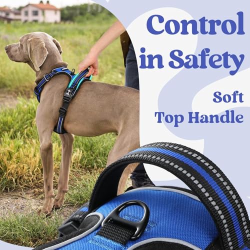 rabbitgoo Dog Harness Small Sized, Updated Easy On & Off with 3 Buckles | No Pull No Choke, Walking with 2 Clips and Handle, Adjustable Soft Reflective, Blue, Small - color: Blue, size: Small