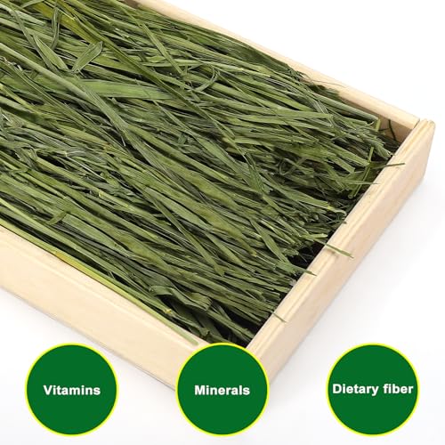 Premium Oat Hay, 1.1LB Small Pet Feed | Premium dust free natural green oat hay, suitable for rabbits, guinea pigs, chinchillas, hamsters, gerbils - size: 1.1 Pound (Pack of 1)