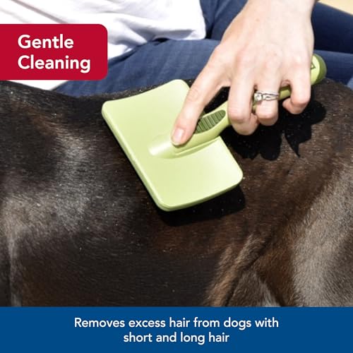 Coastal Pet Safari Dog Soft Slicker Brush - Dog Grooming Brush for Shedding - for Dogs with Short, Medium and Long Hair - Large - 6.75" x 4.375" - size: Large