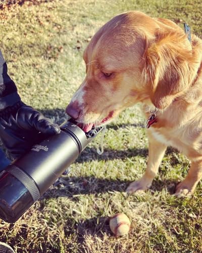 Stainless Steel Dog Travel Water Bottle, Vacuum Insulated Portable Dog Water Dispenser, Large Bottle with Drink Cup On The Go, Outdoor Walking, Hiking, Travel (Cobalt, 22oz) - color: Cobalt