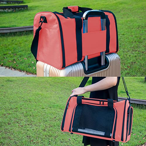 Soft Sided Carrier for Small Medium Cats Dogs,TSA Airline Approved Collapsible Travel Pet Carrier (Medium, Watermelon) - color: Watermelon, size: Medium