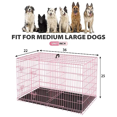 BLKMTY Foldable Dog Crate, Wire Metal Dog Cage, Medium 36-Inch, Pink - color: Pink, size: 36.0"L x 22.0"W x 25.0"H