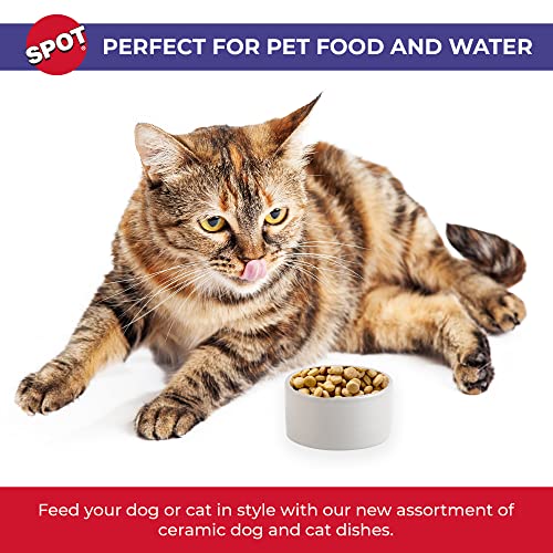 SPOT Ceramic Stoneware- Pet Bowl for Cats, Kittens and Mini Dogs, Classic Heavy Duty Non-Slip Ceramic Bowl for Food and Water -2.75in Diameter - size: 3"