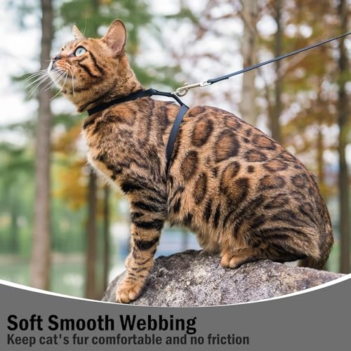 PUPTECK Adjustable Cat Harness and Leash Set Escape Proof Kitten Strap Collar for Walking Travel, Black, M - color: Black, size: Medium