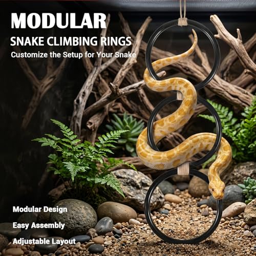 Snake Climbing Rings for Ball Python, Enrichment Toys for Corn Snake, Reptile Enrichment Climbing Ring, Reptile Tank Accessories for Terrarium, Bearded Dragon, Chameleon, Iguana, Gecko, Lizard, Parrot