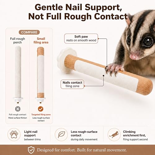 Sugar Glider Cage Accessories Nail File, 5-Piece Wood Climbing Set | Two Smooth Climbing Bars, Two Rest Platforms and One Bar with a Small Filing Zone (Climbing Toy)
