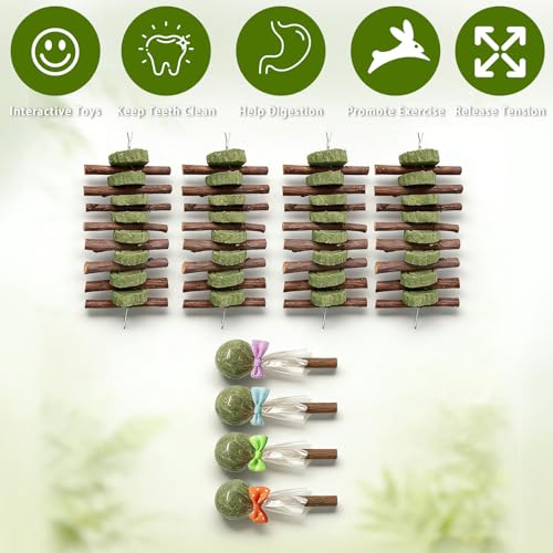Morezi Guinea Pig Toys Bunny Chew Toy Rabbit Enrichment Accessories for Bunnies Chinchillas Hamsters Mice 8 Sets