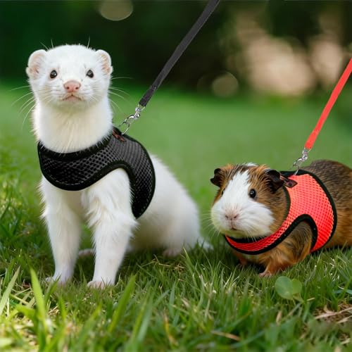 2pcs Animal Harness and Leash, Ferret Harness No Pull Mesh Black Red,S | Soft Mesh Comfort, Bell for Outdoor Walks, Velcro Easy-On Fit, 4.4 ft Leash, for Baby Ferrets, Rats and Guinea Pigs - color: black+red, size: Small (Pack of 2)