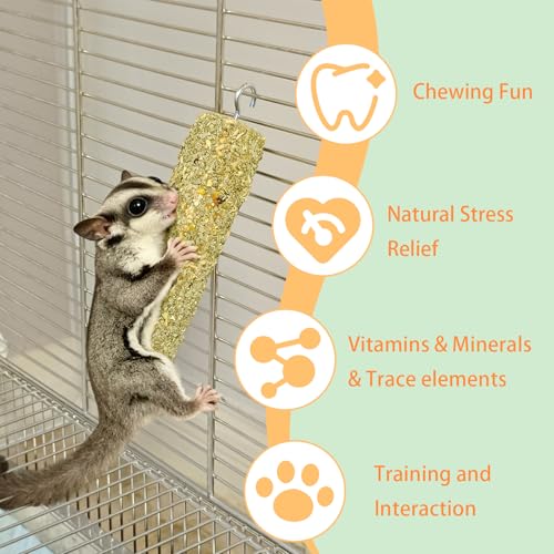 4PCS Sugar Glider Treats,Natural Eucalyptus Chew Sticks - Nutrition Crunch Treat with Egg Vegetables Leaves Oats Honey for Sugar Gliders - size: 2.65 Ounce (Pack of 4)