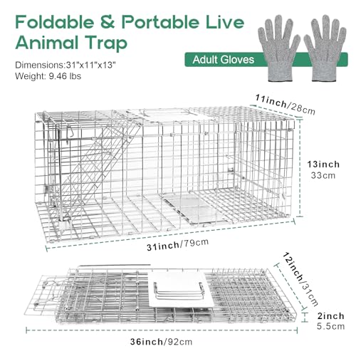 Humane Live Animal Trap Cage 32" × 13" × 11",Heavy-Duty Live Catch Cage for Raccoon, Squirrel, Stray Cats, Groundhogs, Armadillos, Opossums, Rabbits, Skunk, Mole, Small Wildlife Control - size: 32"×13"×11"