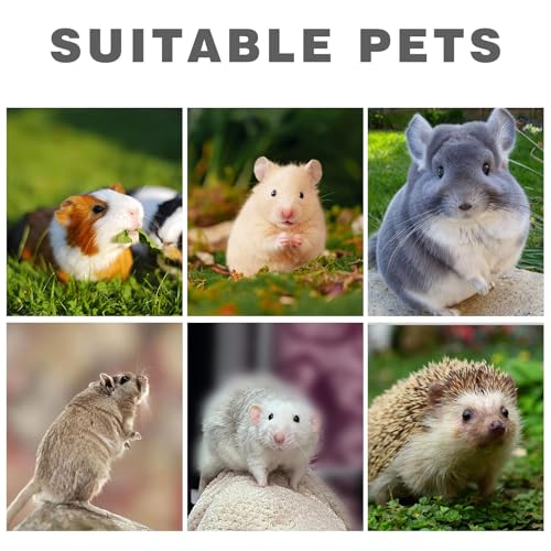 2 Pack Rat Feeding Accessories for Cage, Stainless Steel Fruit Fork and Spiral Vegetable Holder, Cage Accessories for Mouse, Hamster, Chinchilla, Rabbit and Other Small Animals