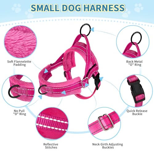 SlowTon No Pull Small Dog Harness and Leash Set with Front Clip | Soft Padded, Neck & Chest Adjustable, Lightweight, Anti-Twist, Puppy Vest Harness Pet Lead Combo for Small Medium Dog, FU XS - color: Fuchsia, size: X-Small
