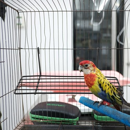 Balacoo 3 Pcs Bird Cage Stand: Metal Bird Wire Platform - Parrot Grid Perch for Cage - Portable Small Animals Training Stand for Budgie, Parakeet, Cockatiel, Hamster