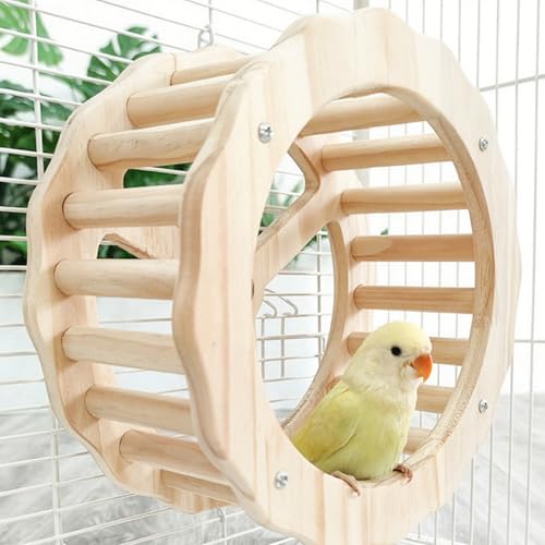 Bird Stand Perch Toy,Interactive Rocking Parakeet Toy and Perch, Wooden Exercise Wheel Cockatiel Toy, Intelligence Puzzle Enrichment Toys,Bird Playground Play Stands for Conure Budgie(D) - color: E