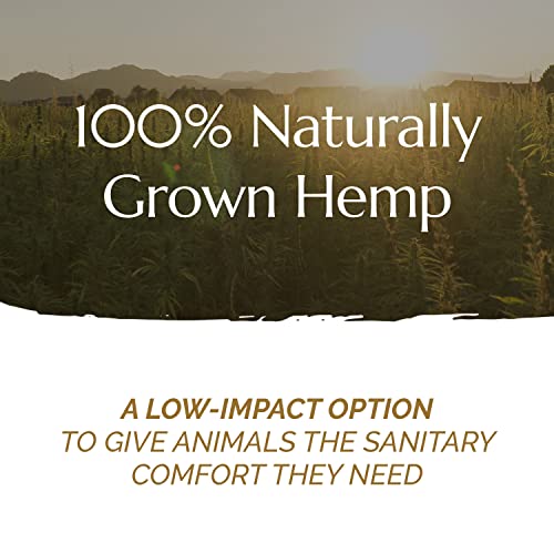 The Chanvra Hemp All Purpose Pet Mat Sleeping,Nesting,Reptile Carpet RatHamster CageBearded Dragon Tank Accessories Lizard Snake Terrarium Liner Small Animal Hemp Bedding Sold Separate - size: Small
