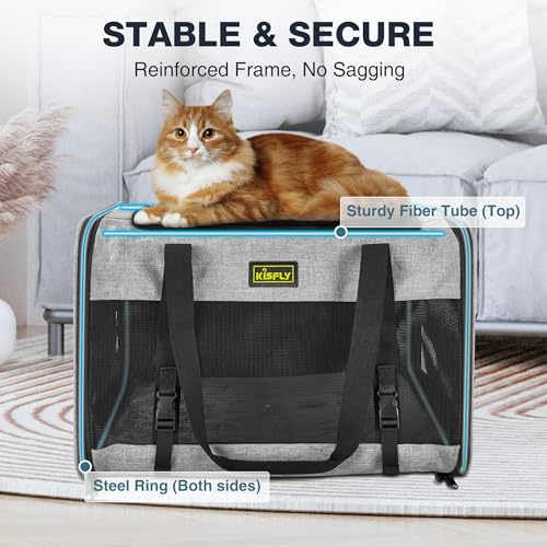 Pet Carrier 20"x13"x13", Foldable Soft Travel Bag for Cats & Dogs | Portable carrier with anti-scratch mesh and sturdy support. Fits two cats, small dogs and pets up to 25 lbs for travel. - color: Gray, size: 20x13x13 In
