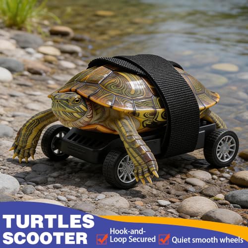 Turtle Skateboard Small Reptile Exercise Toy S | Stable 4 Wheel Training Cart for Tortoise Bearded Dragon, Safe Hook Loop Strap Fixing, Durable Green Fitness Toy - size: S