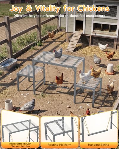 Magicfly Chicken Perch Swing in Coop for 10-12 Chickens, Easy to Assemble | Metal Chicken Roosting Bar, Multi-Level Design Chicken Ladder, Large Capacity Chicken Playground for Coops, Backyard Farms