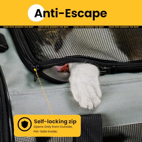Conlun Soft-Sided Cat Carrier for Small-Medium Cats, Puppies up to 15 Lb, Airline Approved - color: Grey, size: M