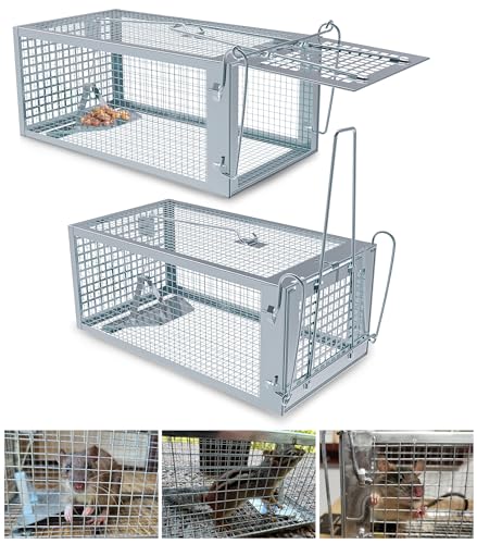 2 Packs Humane Rat Mouse Trap Outdoor Live Animal Cage Indoor & Outdoor | Silver Iron Galvanization, Reusable Safe for Children & Pet, Waterproof