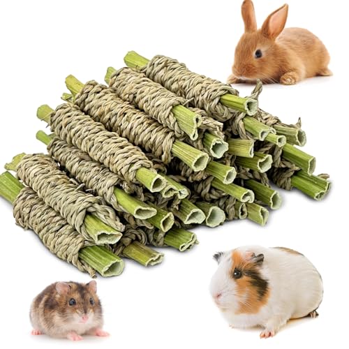 Fhiny 24 PCS Rabbit Chew Sticks, Natural Papaya Wood Seagrass Guinea Pig Chew Toys for Teeth Small Animal Molar Sticks Snacks for Bunny Guinea Pig Chinchilla Ferret Hamster Gerbil Dental Care