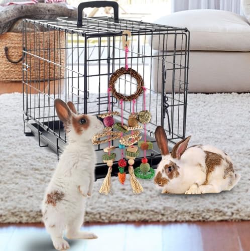YIXUND Rabbit & Guinea Pig Toys - Hamster & Bunny Toys - Natural Timothy Hay & Apple Wood Sticks - Chinchilla Teeth Care - Handmade Dream Catcher - color: 18 Pcs