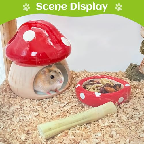 BNOSDM Ceramic Hamster Hideout and Food Bowl Set Cute Mushroom Shape Hamster House and Habitat Cool Hamsters Hide Suitable for Syrian, Mice, Dwarf Hamsters, Gerbils (Red) - color: Red Hideout Duo