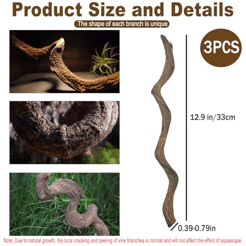 Reptile Decor 3PCS Natural Forest Branch Terrarium Habitat Decoration Lizard Climbing Tree Branch for Bearded Dragon Gecko Snake Frog Chameleon Spider