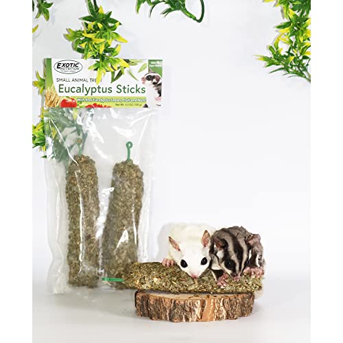 Exotic Nutrition Eucalyptus Sticks - Healthy Vitamin-Fortified Crunchy Chew Treat - Natural Treat for Sugar Gliders - Made with Eucalyptus Leaves, Oats, Fruit, Honey