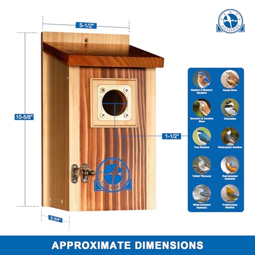 SISTERBIRD Pack of 2 Premium Bluebird Houses for Outside, Assembled Bird House Gift, Garden Decoration Bluebird House, Copper Predator Guard, Easy to Clean Bird Nesting - color: Light Toast & Copper-colored -- 2PK