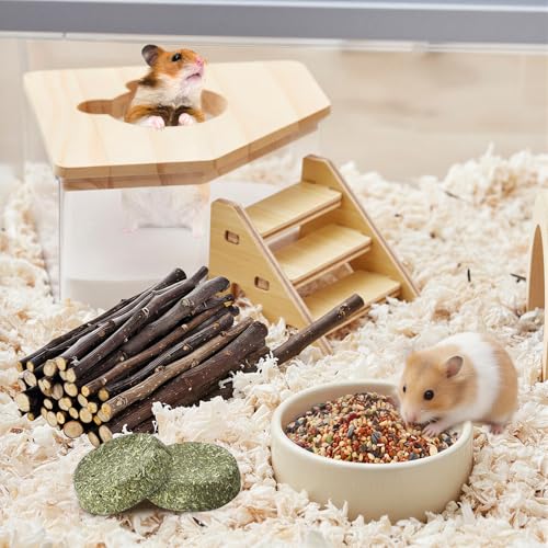 6-piece hamster toy set small pet sand bath set includes chinchilla sticks guinea pig chew sticks Hamster food apple sticks Cage accessories suitable for dwarf hamsters Syrian hamsters sand rats etc
