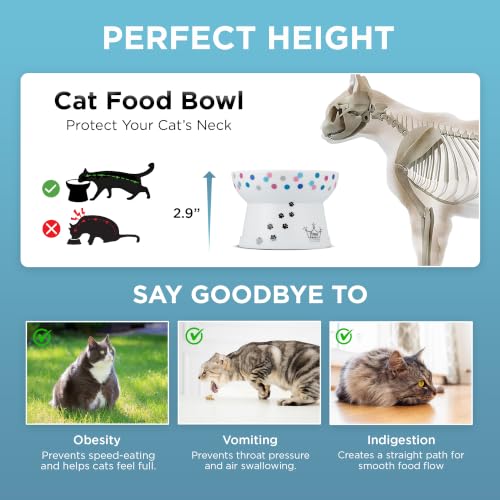 Necoichi Ceramic Raised Cat Food Bowl, 15° Tilted (Colorful Dots, Regular) - color: Colorful Dots, size: Regular