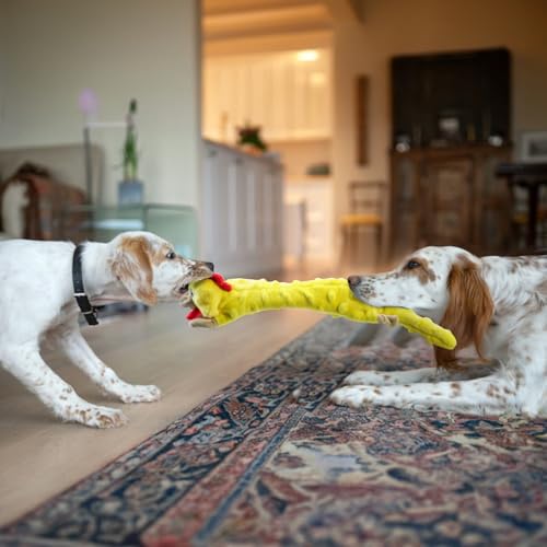SHARLOVY Dog Squeaky Toys Pack, Bubble Plush Puppy Teething Pet Toys, Crinkle No Stuffing Animals Dog Toy, Doggies Chew for Large Small Medium Breeds - color: Bubble Plush-Chicken, size: Large