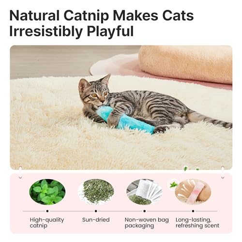 Potaroma Cat Toys Pillows, 3 Pcs, Catnip Inside, Interactive Indoor Fun | Crinkle Sound, Soft and Durable, Kitten Kicker, Promotes Kitty Exercise - color: Pastel Colors