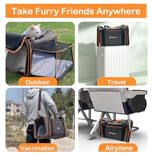 Pet Carrier Airline Approved, 17x11x11 TSA Travel Carrier | 5-Side Expandable Entry, Lightweight Alloy Frame, Collapsible Storage, Washable Wool Mat, Comfortable Bag for Cats & Dogs