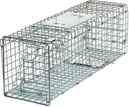 24" x 7.5" x 8" Small Live Animal Trap Steel Cage Catch and Release One Door Humane Rodent Cage Trap for Little Rabbits/Stray Cats/Squirrel/Skunk/Mink/Opossum Outdoor Animals - style: 24" X 8" X 7.5"