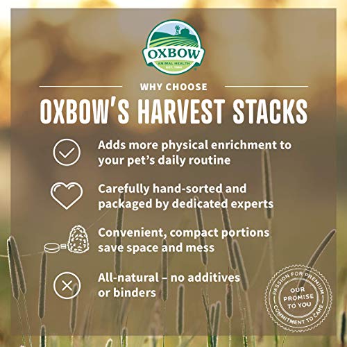 Oxbow Harvest Stacks, Timothy Hay, Rabbits & Guinea Pigs, Carrot, 35 oz | Compressed Timothy Hay Stacks For Rabbits, Guinea Pigs & Chinchillas, Less Dusty, Travel Friendly, Easy to Feed, Made in USA