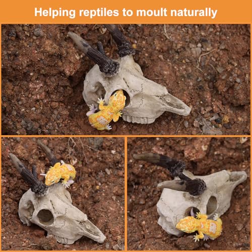 Mini Deer Skull Reptile Hide, Resin Tank Decor for Geckos, Snakes & Spiders | Realistic resin deer skull for terrarium décor; compact cave opening suits spiders, ants, Dubia roaches and other tiny pets.