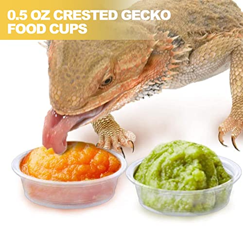 0.5oz Crested Gecko Food and Water Feeding Cups, Reptile Feeder Bowls, Plastic Replacement Food Dish for Lizard and Other Small Pet Ledge Accessories (100 pcs) - size: 0.01 Fl Oz (Pack of 100)