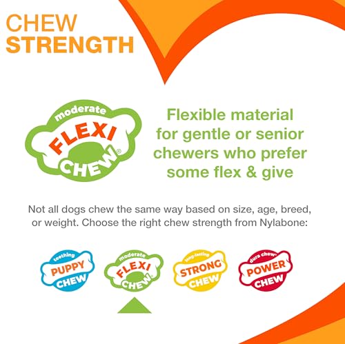 Nylabone Flexi Chew Tiny Gumabone Dog Chew Toys, XX-Small, 2 Count | Peanut butter & bacon flavor, x-small breeds, flexible material, fill with treats, gentle on teeth, for dogs up to 15 lbs